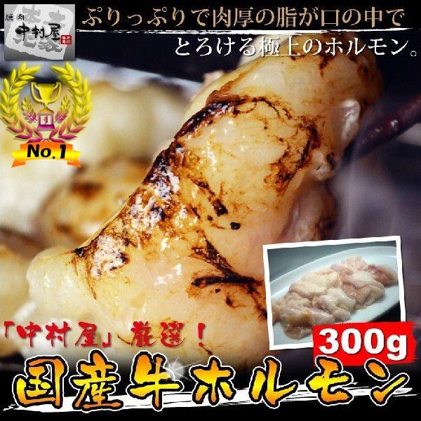 お中元 御中元 牛肉 国産牛 ホルモン300g 小腸 焼肉 バーベキュー もつ鍋 ホルモン うどん ホルモン焼き 2セット購入でタレおまけ 送料無料