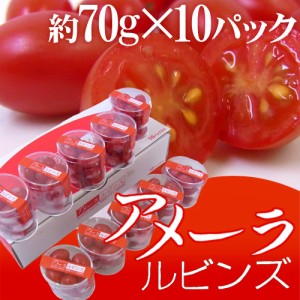 高糖度フルーツトマト 静岡県産 ”アメーラルビンズ” 1箱 10pc入り 化粧箱 送料無料