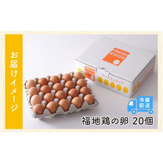 ふるさと納税 福井県 あわら市 濃厚で甘くておいしい！ 福井ブランド「福地鶏」の卵 20個（10個入×2パック）