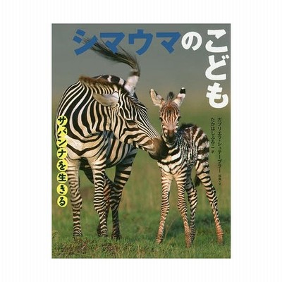 シマウマのこども サバンナを生きる ガブリエラ シュテープラー 著者 たかはしふみこ 訳者 通販 Lineポイント最大get Lineショッピング