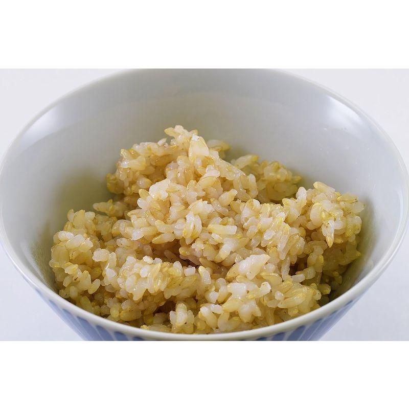 金のいぶき 発芽玄米 パックごはん (150g×12パック)