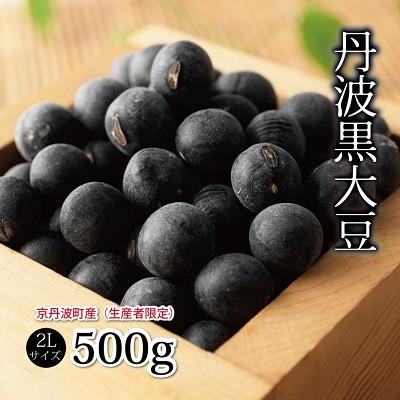 ふるさと納税 京丹波町 京都府京丹波町産　丹波黒大豆 2L 500g 生豆 令和4年度産