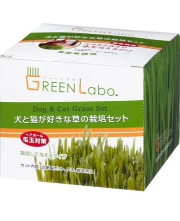 日本GreenLabo燕麥盆栽組DIY新鮮貓草盆栽燕麥種子貓草組合包懶人包易種包『寵喵樂旗艦店』