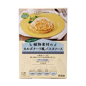 植物素材のカルボナーラ風パスタソース（レトルト）（150g）