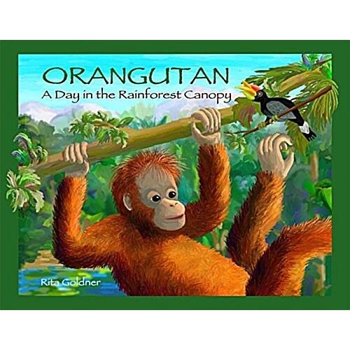 Orangutan: A Day in the Rainforest Canopy (Hardcover)