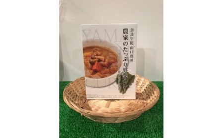 定期便 ３ヶ月 山口農園 有機野菜 おまかせセット＋カレー２箱 詰合せ 冷蔵 月１回 ／ オーガニック 伝統野菜 レトルトカレー 奈良県 宇陀市