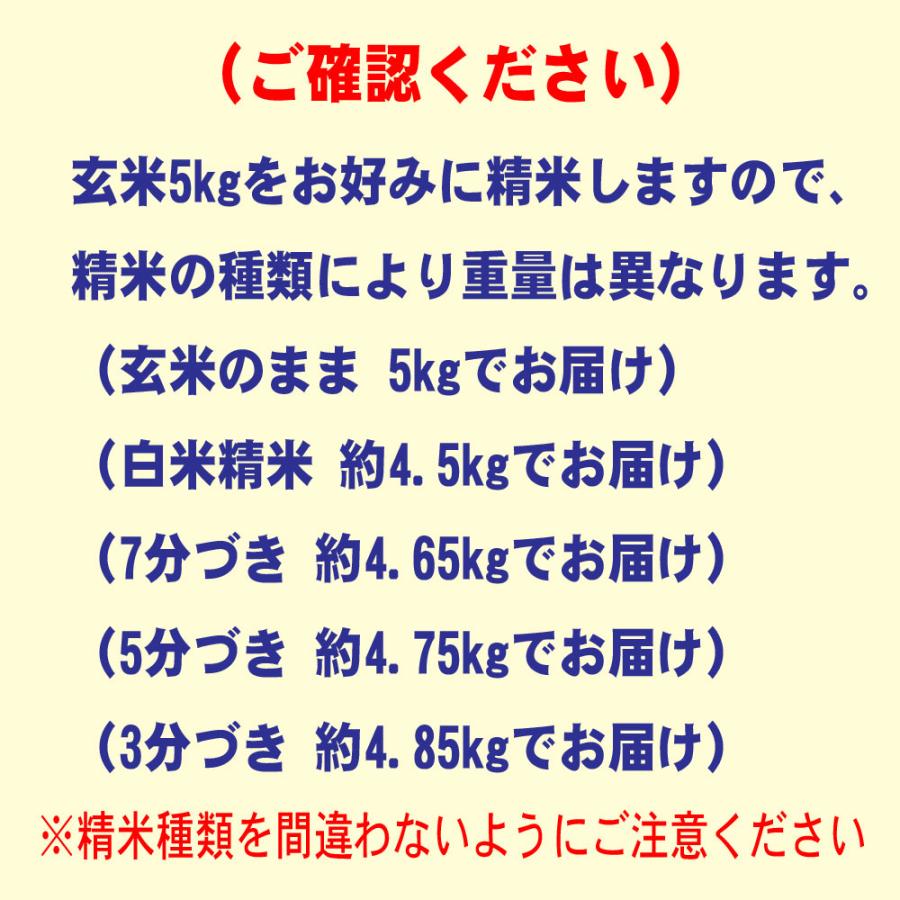 新米 令和5年産 特別栽培米 5kg 石川県産 奥能登 棚田 コシヒカリ 玄米 白米 7分づき 5分づき 3分づき 分づき米 出荷日精米 送料無料 米 お米