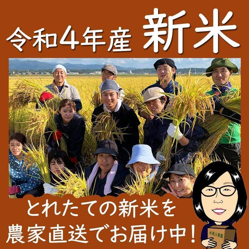 水菜土農園無洗米令和4年産 秋田県産 あきたこまち 5kg 古代米お試し袋付き