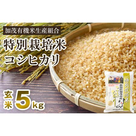 ふるさと納税 新潟県加茂市産 特別栽培米コシヒカリ 玄米5kg 従来品種コシヒカリ 加茂有機米生産組合 コシヒカリ 新潟県産コシ.. 新潟県加茂市