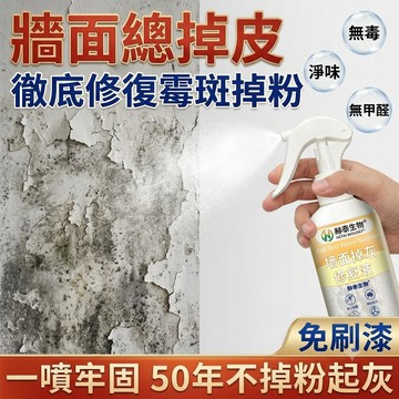 台灣有貨⚡德國技術 牆面修復液 防水防黴 牆面掉灰修補劑 牆漆修復 地面防潮 起沙固沙 牆面補土 牆面修補 防潮固沙劑