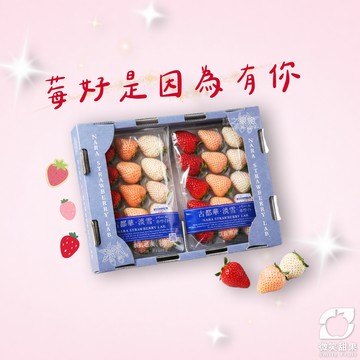 情人節心動時刻【微笑甜果】日本三色草莓．浪漫莓好．高顏值水果禮．甜蜜送禮．指定區間出貨