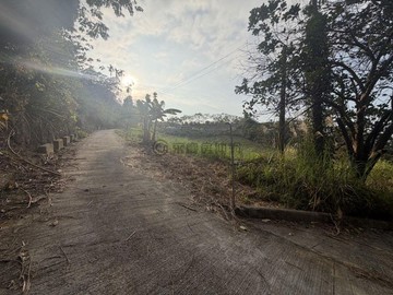 北屯大盛段視野美農地地主誠意出售出價談｜台中市北屯區大盛段