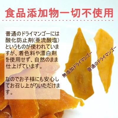 ドライフルーツ 無添加 半生 ドライマンゴー 300g(100g×3) フィリピン セブ島産 太陽の恵み おつまみ ギフト