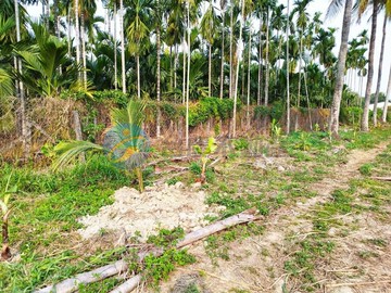麟洛八米路俊賢街幸運坪數都農(可蓋合法農舍)｜屏東縣麟洛鄉麟仁段