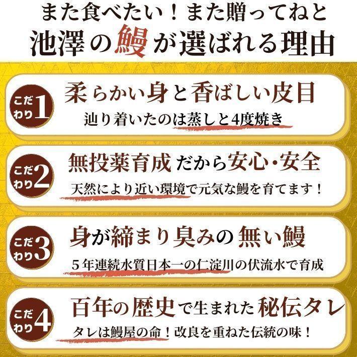 高知県産 うなぎ 蒲焼き 国産 特大200g×1尾 無投薬 仁淀川 誕生日 ギフト 贈答