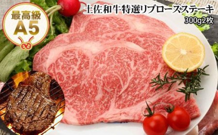 土佐和牛A5特選リブロースステーキ300g×2枚セット　牛肉　和牛ステーキ肉