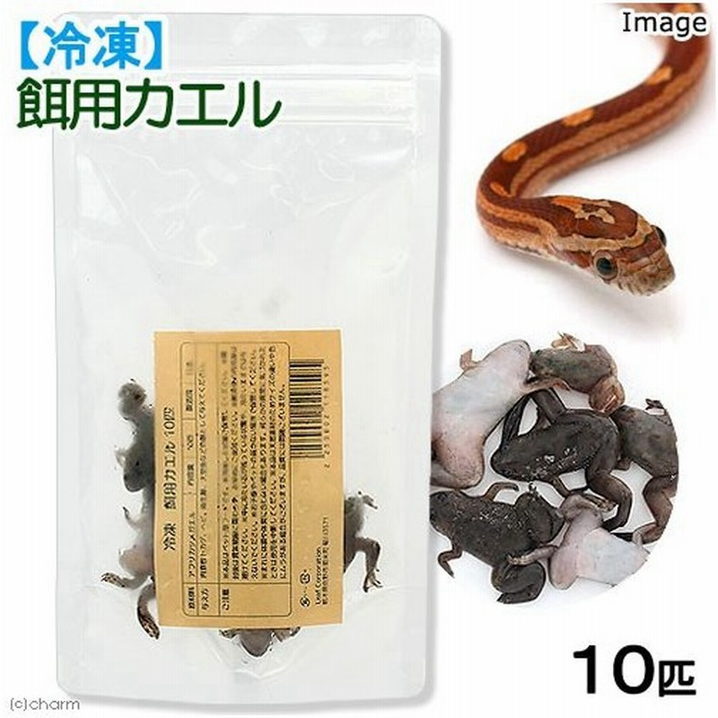 冷凍 冷凍餌用カエル アフリカツメガエル １０匹 爬虫類エサ 無添加 無着色 別途クール手数料 常温商品同梱不可 通販 Lineポイント最大0 5 Get Lineショッピング