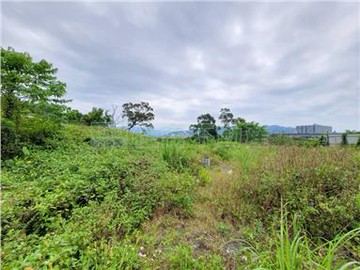 EB0619 捷運乙工附建照~住商樹林中正加盟店｜新北市鶯歌區文化路