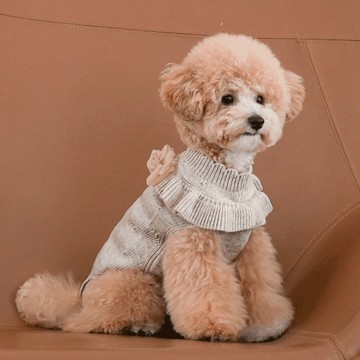 韓國品牌【梨花娘總代理】🐾BAILEY 🐶秋冬新品 柔軟蝴蝶荷葉邊高領針織寵物服飾(3色)