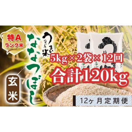 ふるさと納税 うりゅう米「ななつぼし（玄米）」5kg×2袋 定期便！毎月1回・計12回お届け 北海道雨竜町