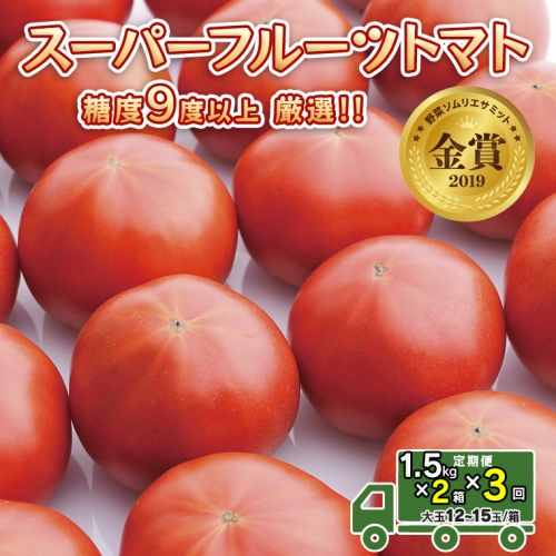  スーパーフルーツトマト 中箱 約1.2kg × 2箱  糖度9度 以上 野菜 フルーツトマト フルーツ トマト とまと [AF044ci]