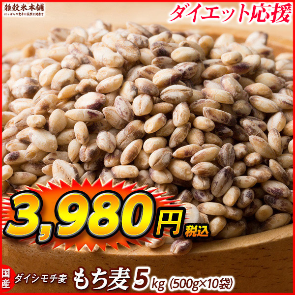 雑穀 雑穀米 国産 もち麦 4.5kg(450g×10袋) （翌日発送） 高品質 厳選 ダイシモチ ダイエット食品 置き換えダイエット 雑穀米本舗