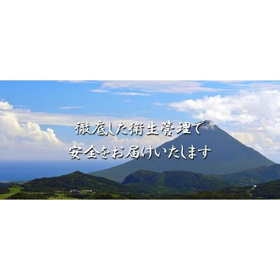 御歳暮 グルメ うなぎ 大 蒲焼き 国産 鹿児島 鰻＜約165g×2尾＞ギフト 内祝い