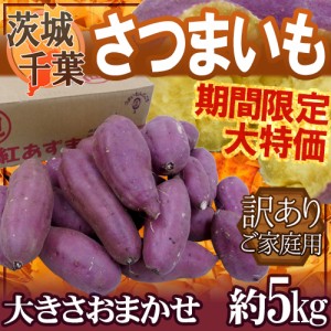 千葉・茨城産 ”さつまいも” 訳あり 約5kg 紅あずま・紅こがね・紅まさり・紅はるか 品種おまかせ 送料無料