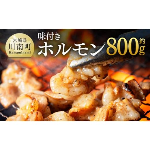 ふるさと納税 宮崎県 川南町 味付き牛ホルモン約800g