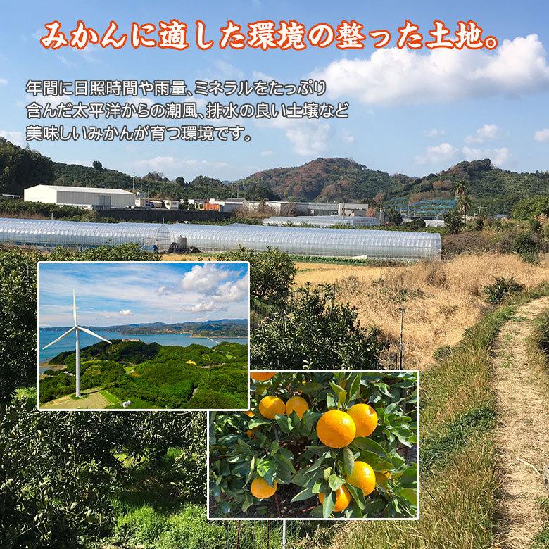 送料無料 キズ有り 訳あり 家庭用 みかん 和歌山県産 和歌山みかん 温州みかん 2Lサイズ以上 サイズ混合 約8kg前後 キズあり 国産  国産みかん