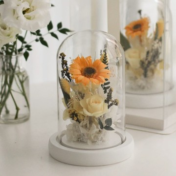 【ELLESHOP】白色花藝-永生小非洲菊 玻璃盅夜燈 🔔 畢業季、畢業禮物、畢業花束