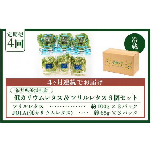 ふるさと納税 福井県 美浜町 [m40-b001] 定期便 ≪4ヶ月連続お届け≫ 低カリウムレタスフリルレタス　計6個セット 全4回 