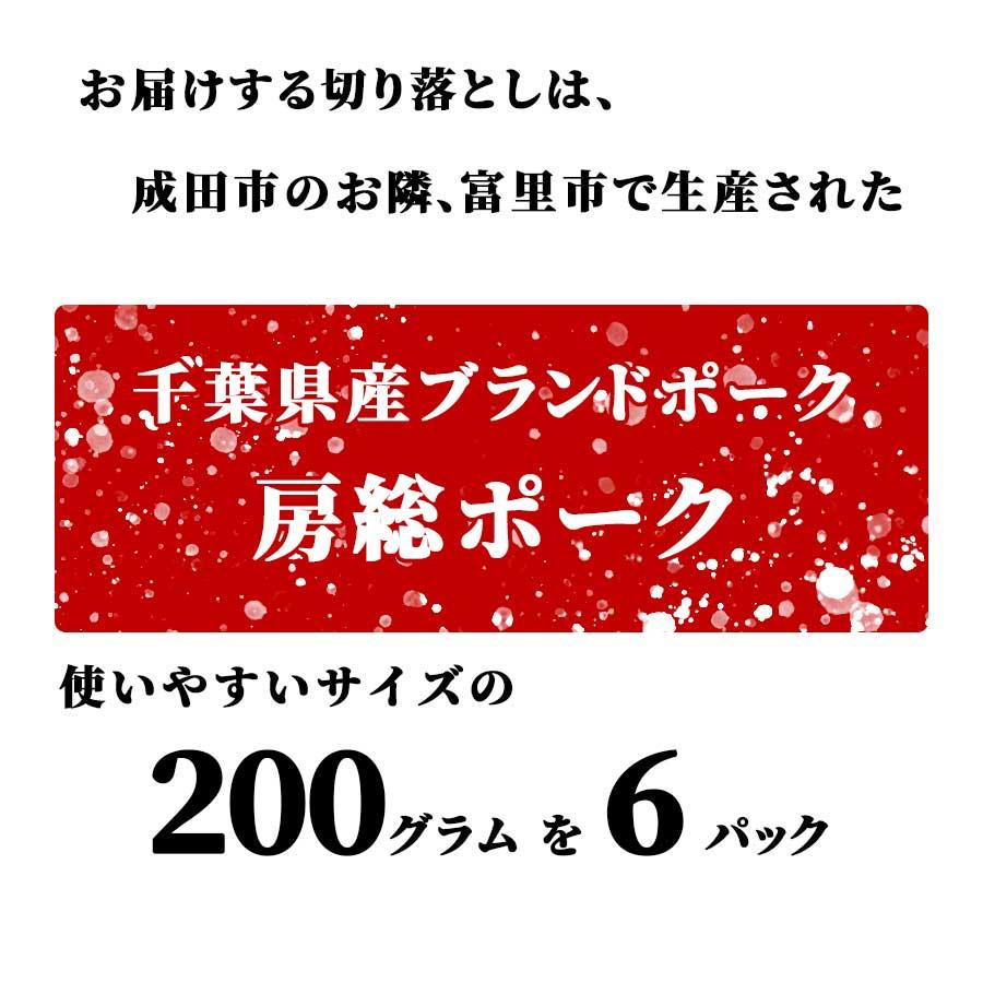 お歳暮 御歳暮 肉 焼肉 豚肉 豚 切り落とし メガ盛り 房総ポーク 千葉県 200g x 6パック 冷凍 プレゼント ギフト 贈り物