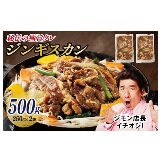 ふるさと納税 大阪府 泉佐野市 味付け ジンギスカン 500g 2人前 小分け 250g×2袋 羊肉 ラム 焼肉 バーベキュー 冷凍パック