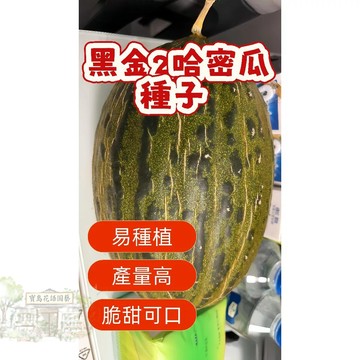 🔥熱銷 黑金2哈密瓜種子 香瓜種子 營養豐富 超甜 多款哈密瓜種子   四季種植水果種子 香甜濃郁 超實惠價🍈