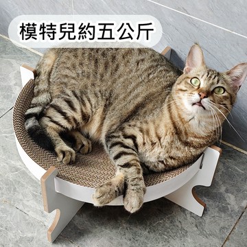 單層架高貓抓窩 舒適圓弧 安穩不晃 磨爪 休憩 可睡可玩 圓窩 貓抓窩 貓抓板 貓咪 寵物 DIY抓板 單層窩🧡歐佩特