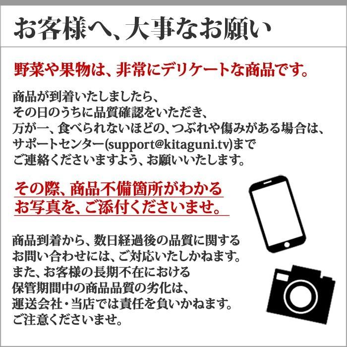 御歳暮 完熟 日本 なし 3kg 梨 幸水 豊水 あきづき 新高 新興 愛宕 果物 ギフト プレゼント 旬の果物 お取り寄せ フルーツ 新潟