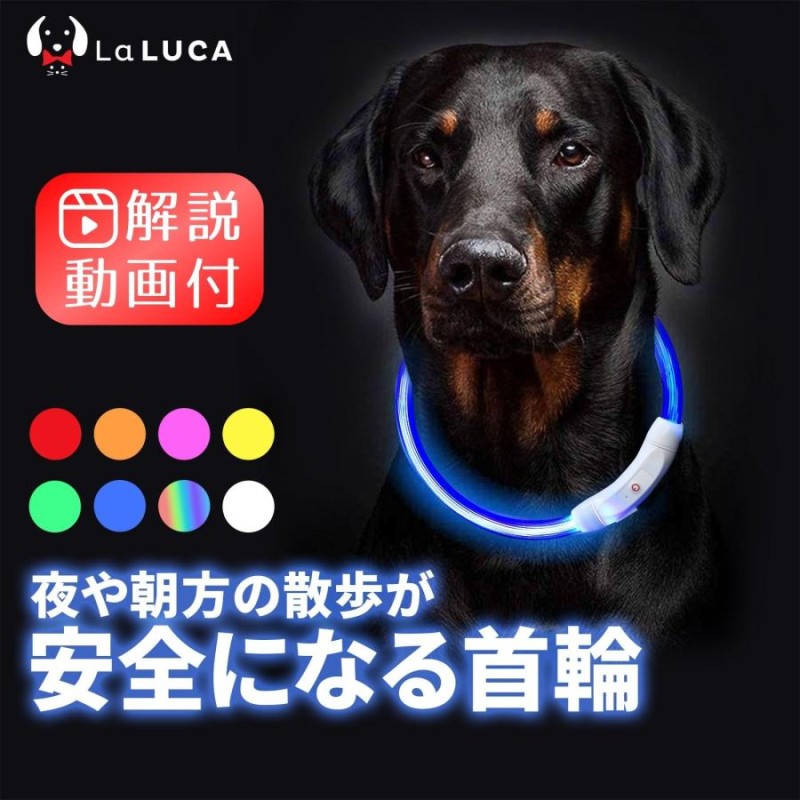 首輪 犬 おしゃれ 光る首輪 LED ライト USB充電式 小型犬 中型犬 大型