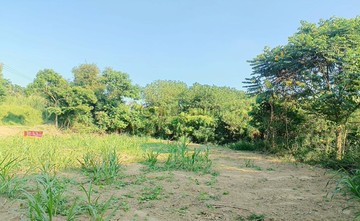 專簽)山上區都內農地近山上國中交通便利｜台南市山上區玉二段