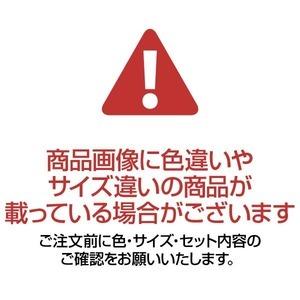 まとめ売り トーエイライト カラー玉フィットSR50青10個B3978B [△][TP]