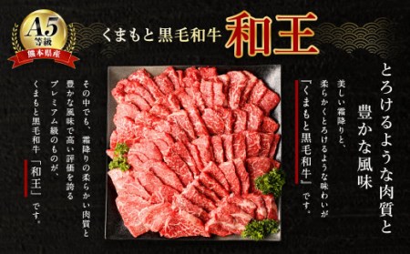 熊本県産 A5等級 黒毛和牛 和王 柔らか 赤身 焼肉 300g×4P 計1.2kg タレ2本付き