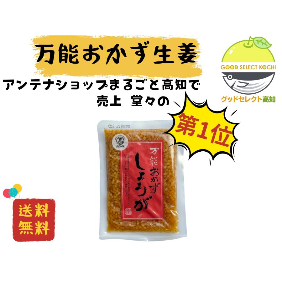 高知家 万能おかずしょうが 130g×1袋 高知県産生姜使用