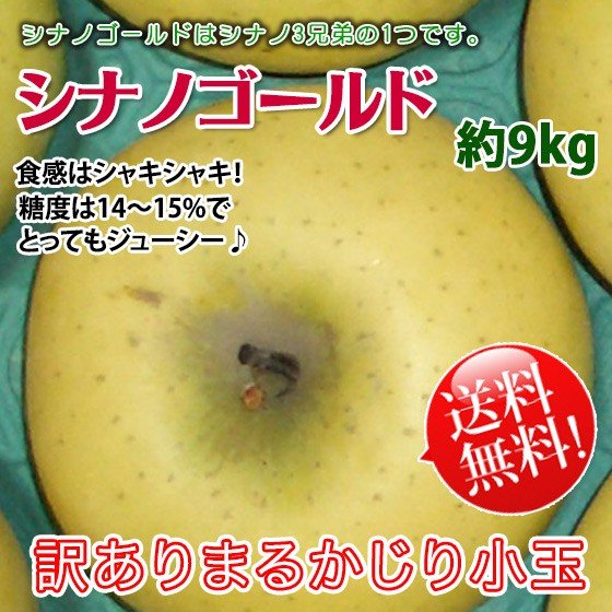 シナノゴールド 訳あり 送料無料  [丸かじり小玉サイズ] 長野県産 家庭用 約9kg