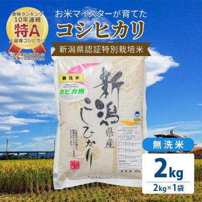 ふるさと納税 上越市 お米マイスターが育てた特別栽培米 精米コシヒカリ 上越産 令和5年産 2kg(2kg×1袋)無洗米