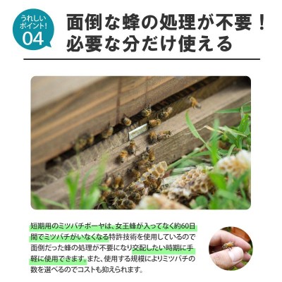 ミツバチ 受粉用 ミツバチボーヤ3000 短期 交配用 女王蜂なし 蜜蜂 3000匹 花粉 交配 授粉 スイカ メロン ピーマン ナス イチゴ  西岡養蜂園 タS 代引不可 | LINEブランドカタログ