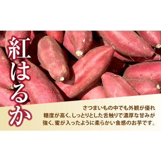 ふるさと納税 福島県 大玉村  訳あり 無農薬 さつまいも 紅はるか 5kg 大玉村産 規格外 不揃い サイズ混合…