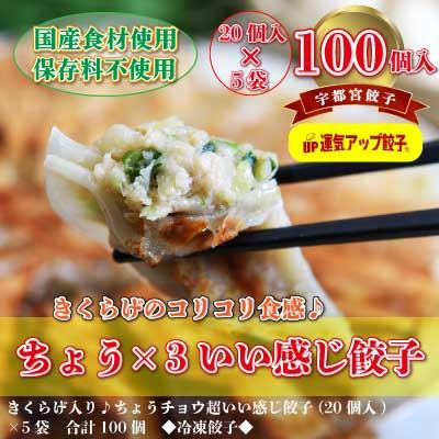 ふるさと納税 宇都宮市 宇都宮餃子　ちょう×3いい感じ餃子　合計100個　保存料不使用