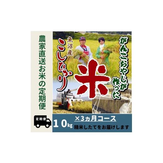 ふるさと納税 新潟県 南魚沼市 令和５年産新米がんこおやじが作った南魚沼産コシヒカリ白米１０kg（５kg×２袋）