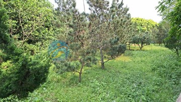 專約新北石門區老梅段整筆大塊土地｜新北市石門區老崩山