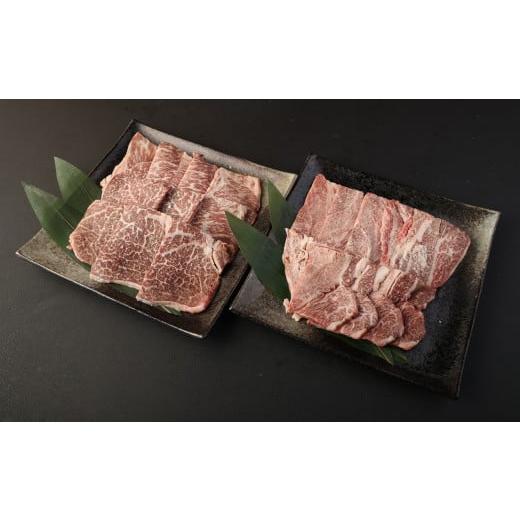 ふるさと納税 福岡県 柳川市 豊作和牛 焼肉2部位セット 計約600g (約300g×2パック)